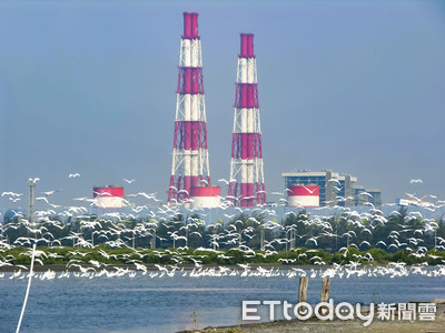 興達電廠煤倉悶燒　台電：積極管控、今年未再發生