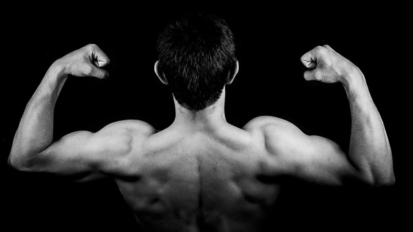 ▲▼健身、肌肉示意圖。（圖／取自免費圖庫pixabay）