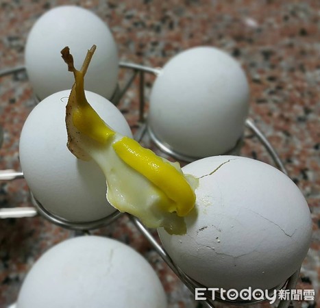 ▲▼蒸蛋,雞蛋。（圖／網友Angel Fong提供，請勿隨意翻拍，以免侵權。）