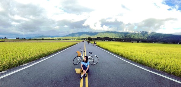 ▲▼台東池上景點 伯朗大道,大坡池,金城武樹。（圖／旅享生活提供）