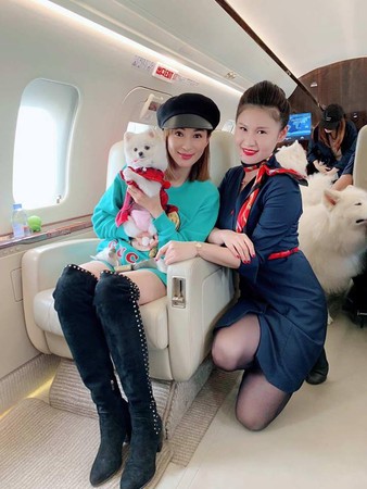 ▲▼羅霖帶愛犬搭私人飛機遊日本大阪。（圖／翻攝自羅霖臉書）