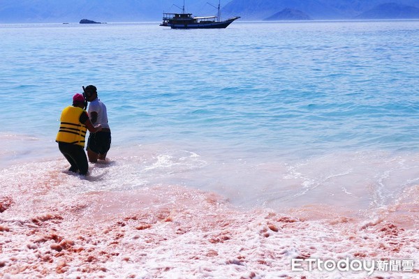 ▲▼印尼科摩多國家公園粉色沙灘,粉紅沙灘,Pink Beach。（圖／記者蔡玟君攝）