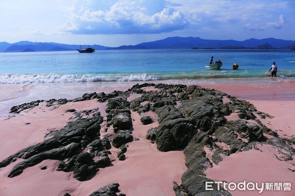 ▲▼印尼科摩多國家公園粉色沙灘,粉紅沙灘,Pink Beach。（圖／記者蔡玟君攝）