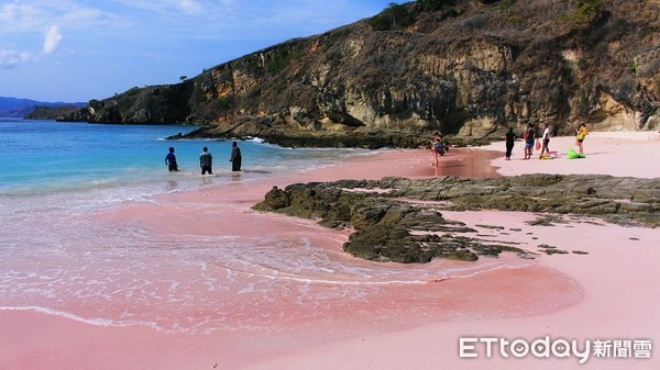 ▲▼印尼科摩多國家公園粉色沙灘,粉紅沙灘,Pink Beach。（圖／記者蔡玟君攝）