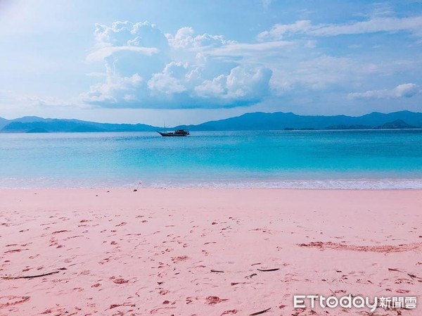 ▲▼印尼科摩多國家公園粉色沙灘,粉紅沙灘,Pink Beach。（圖／記者蔡玟君攝）