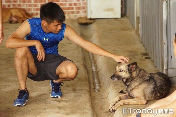 劉韋辰飼養的米克斯亮亮。（圖／網友劉韋辰提供，請勿隨意翻拍，以免侵權。）