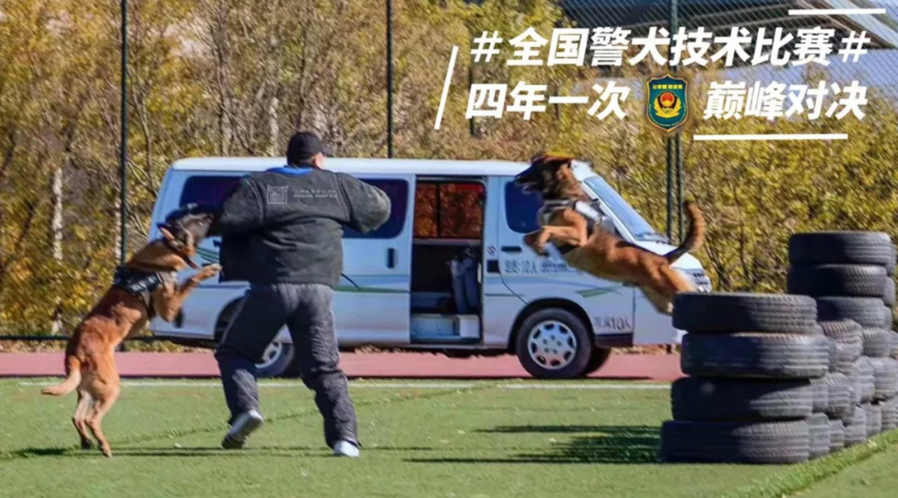 ▲▼全國警犬技術比賽警犬超萌。（圖／翻攝自公安部刑偵局微博）