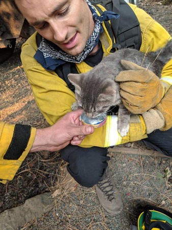 貓咪跟消防員變朋友。（圖／翻攝自Foster City Fire Department）