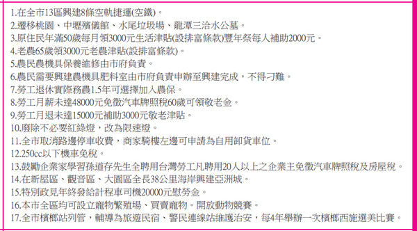 ▲▼桃園市長候選人選舉公報政見。吳富彤（圖／擷取自選舉公報）