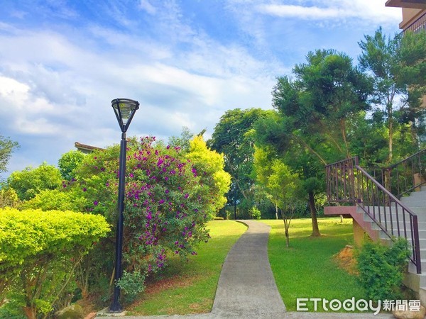 貴賓狗變成海苔炸雞。（圖／飼主凱蒂提供）