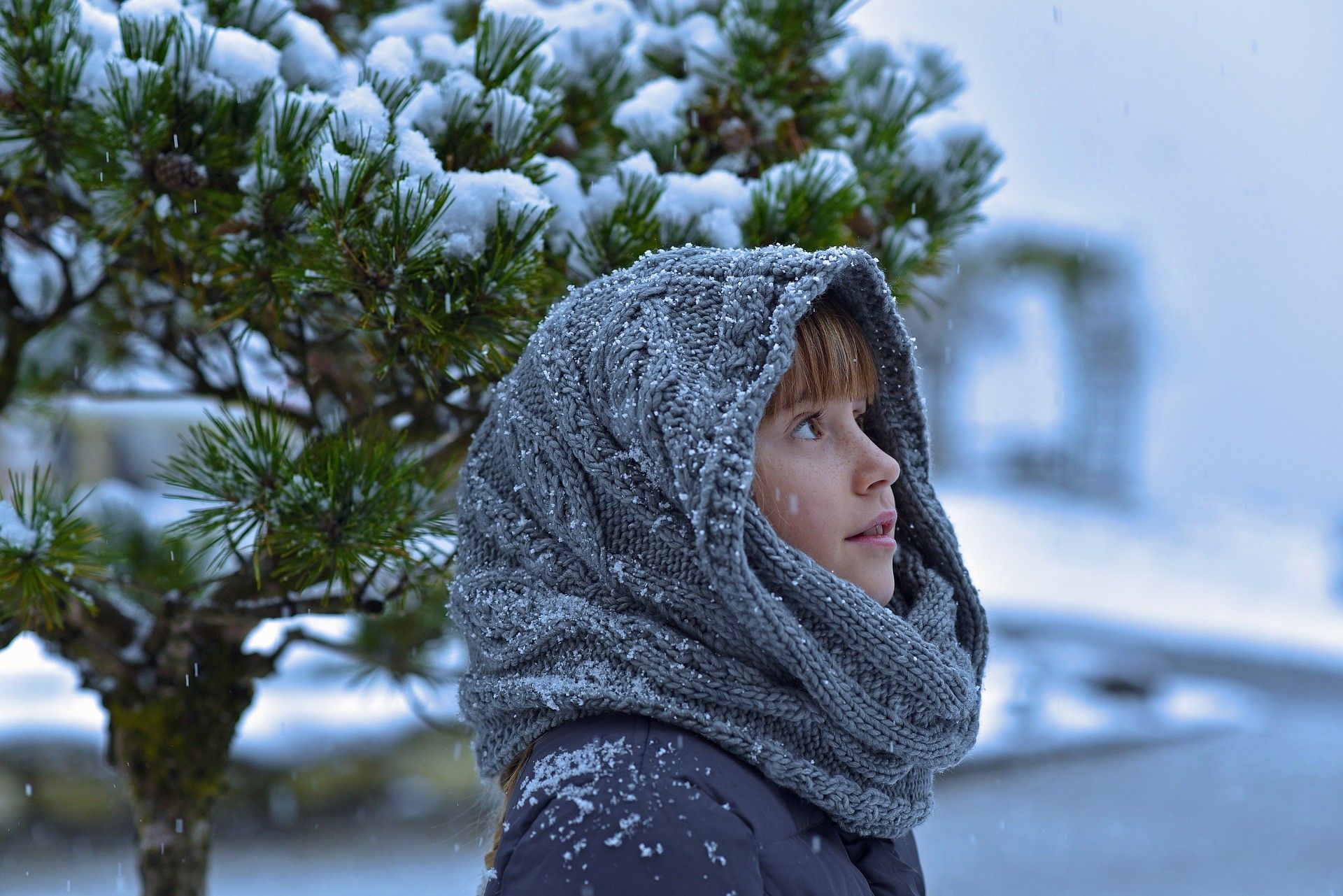 ▲▼圍巾,禦寒,寒流（圖／取自免費圖庫pixabay）