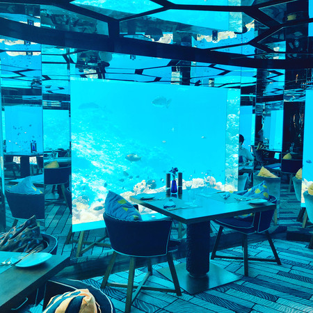 ▲▼ 跟鯊魚來場浪漫的燭光晚餐！到這4間海底餐廳感受真正的「水底情深」吧～（圖／bella儂儂提供）