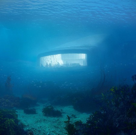 ▲▼ 跟鯊魚來場浪漫的燭光晚餐！到這4間海底餐廳感受真正的「水底情深」吧～（圖／bella儂儂提供）