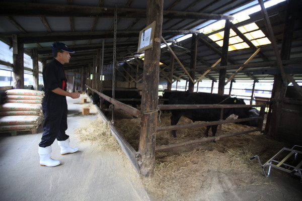 （圖／福澤喬攝）