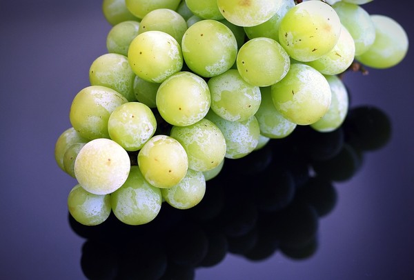 ▲葡萄,冷凍水果。（圖／取自免費圖庫Pixabay）