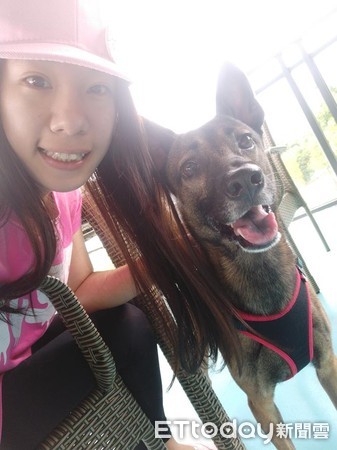 第一眼就決定是牠！板收浪浪幸福5年。（圖／有點毛毛的，飼主愛倪提供，請勿隨意翻拍，以免侵權。）