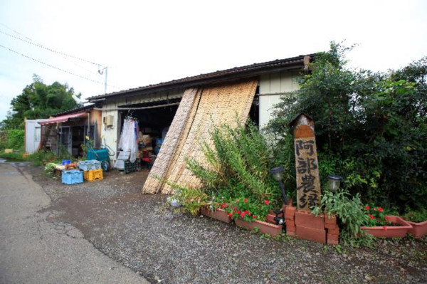 （圖／福澤橋 攝）