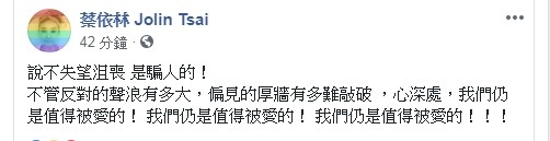 ▲挺同公投未能過關，蔡依林沮喪「我們仍是值得被愛的！」（圖／翻攝自臉書／丁寧、蔡依林、Ella、張惠妹、徐譽庭）