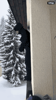▲▼reddit網友討論的「俄羅斯跳雪挑戰」。（圖／翻攝自reddit）