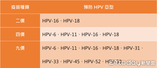 ▲▼子宮頸癌疫苗。（圖／kingnet國家網路醫藥）