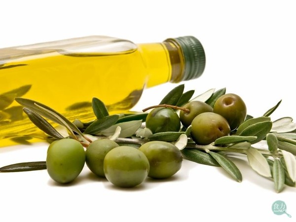 冷壓橄欖油就一定比較好嗎？（圖／食力提供）
