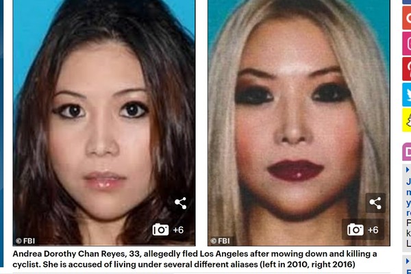 ▲▼華裔女在美國撞死人，遭到全球通緝。（圖／翻攝自Daily Mail）