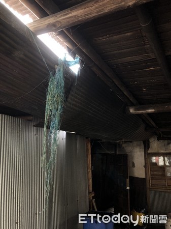 ▲▼小美巴伊。（圖／天主教中華聖母基金會提供）