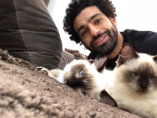 （圖／翻攝自推特／@MoSalah）