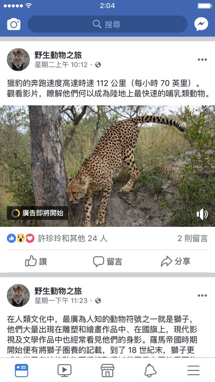 Facebook推出中文版插播廣告（圖／Facebook提供）