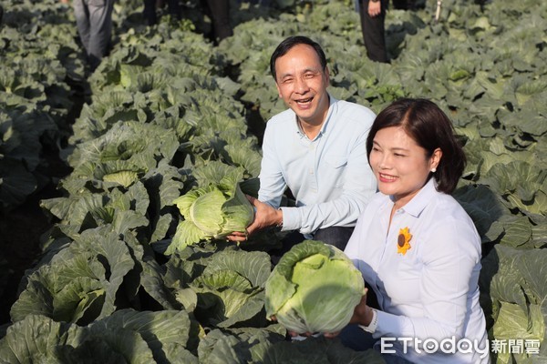 ▲ 朱立倫赴雲林採購400噸高麗菜 與張麗善用行動助農民。（圖／新北市農業局提供）