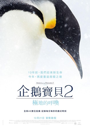 ▲▼ 企鵝寶貝2：極地的呼喚。（圖／imdb）