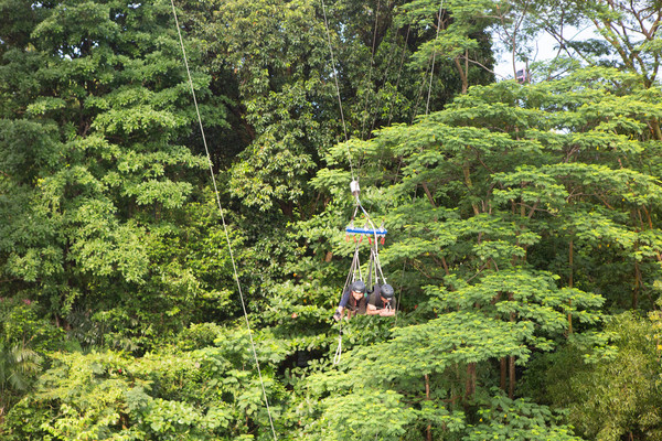 ▲▼  新加波旅遊局,  Santosa, Giant Swing             。（圖／記者周書羽攝）