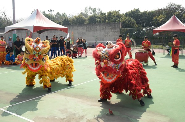 ▲▼民俗體育競賽，醒獅雙獅。（圖／台南大學提供）