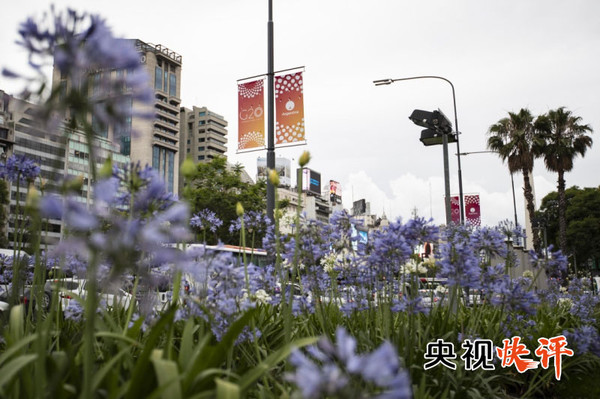 ▲G20峰會的旗幟在街頭。（圖／翻攝自央視快評網站）