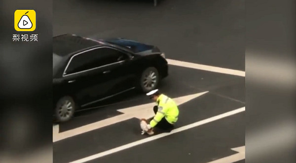 ▲▼流浪狗骨折動不了　暖警蹲路中央「肉身擋車」：大車看不見牠。（圖／翻攝自梨視頻）