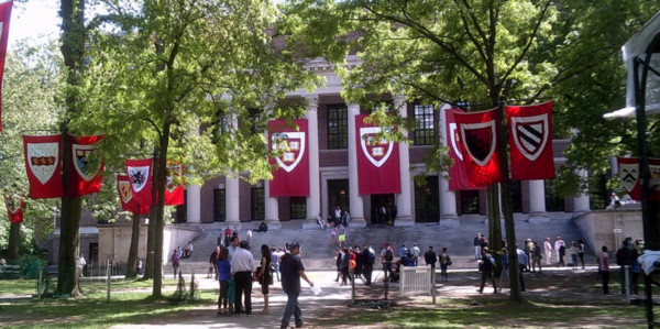 ▲哈佛大學制定新規遭控打壓單一性別社團。（圖／翻攝自Twitter／Business insider）