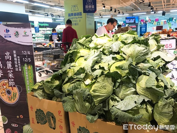 ▲▼ 高麗菜            。（圖／資料照）