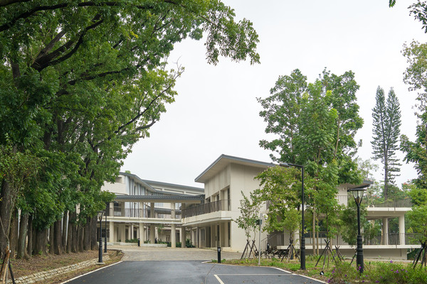 ▲▲高雄新威森林公園桃花心木。（圖／茂林國家風景管理處提供）