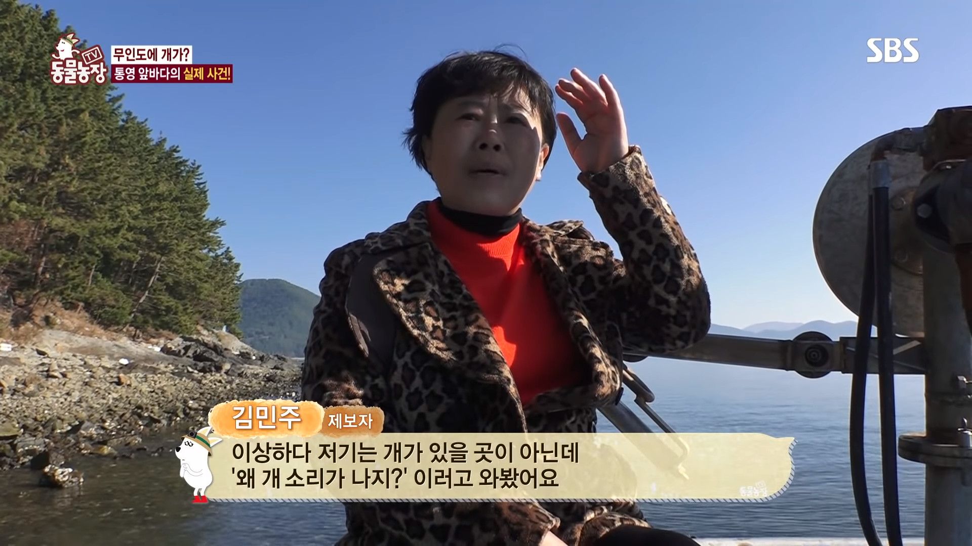 ▲▼南韓統營2隻狗被拋棄在無人島（圖／翻攝自Youtube@SBS Culture）