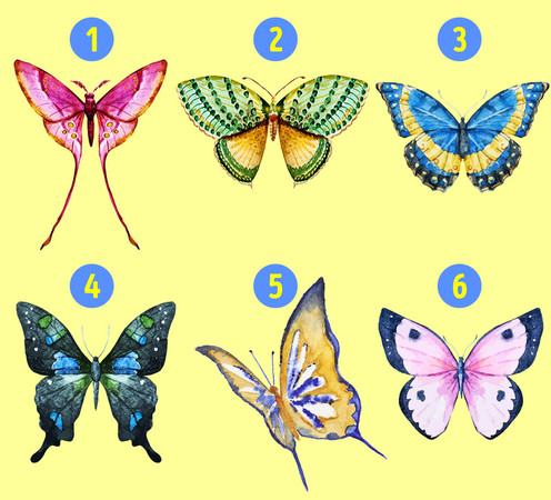 ▲哪隻蝴蝶最吸引你？一張圖看出「隱藏人格」。（圖／取自國外網站《Bright Side》）