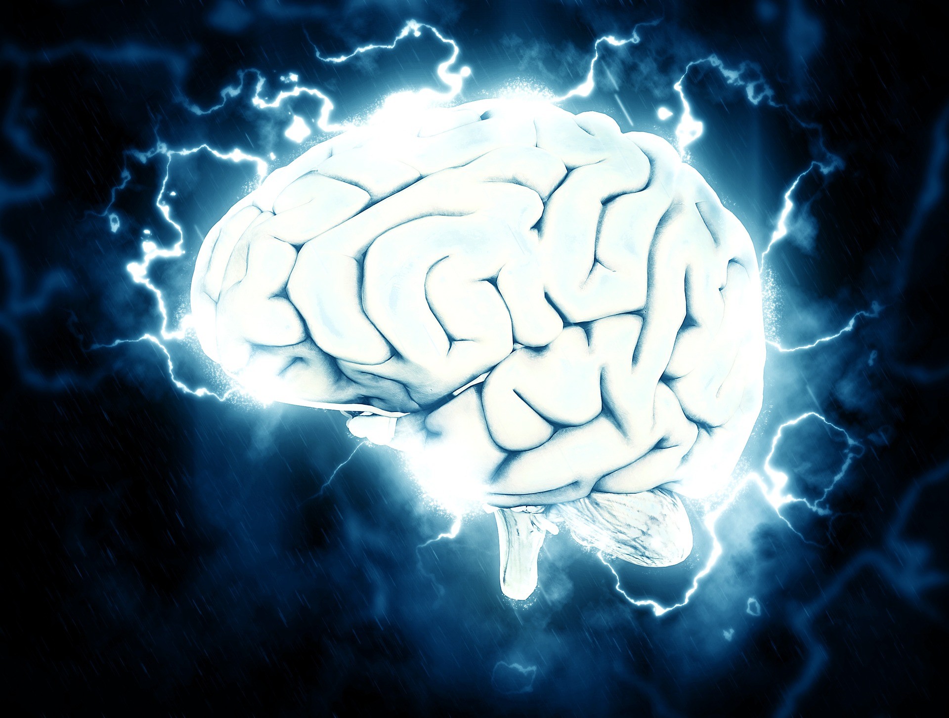 ▲▼ 大腦,腦袋。（圖／免費圖庫pixabay）