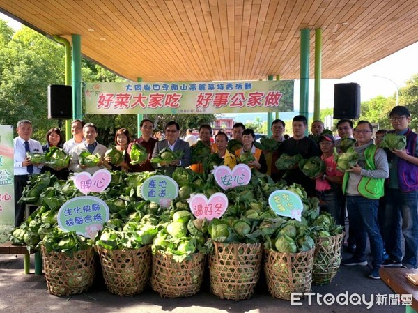 ▲▼高麗菜滯銷，宜蘭縣政府舉辦「好菜大家吃　好事公家做　四季南山高麗菜特賣活動」以協助部落辛苦栽種的農民促銷。（圖／記者游芳男翻攝，下同）