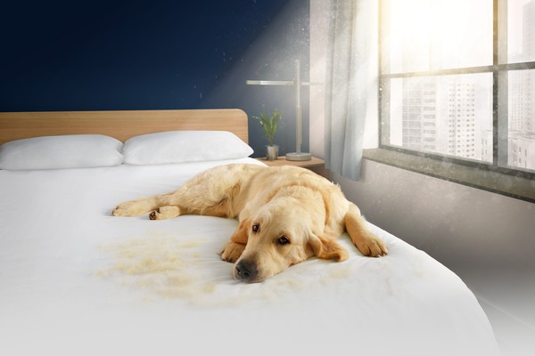 ▲▼TVBS民調。（圖／業者提供）