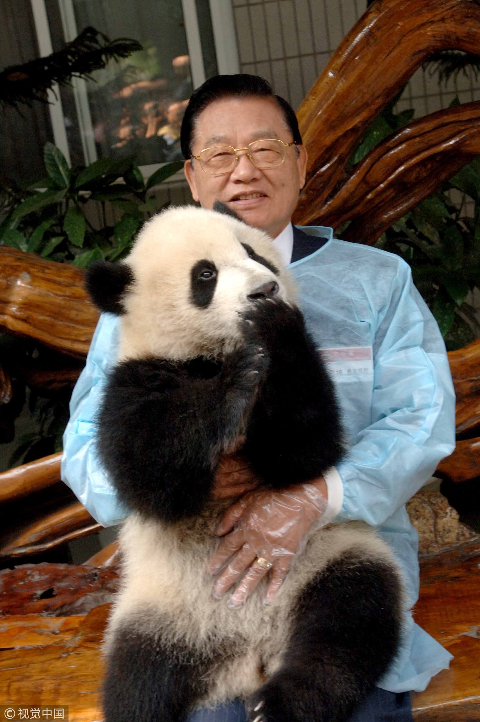 ▲2006年，江丙坤參觀成都大熊貓繁育研究基地。（圖／CFP）
