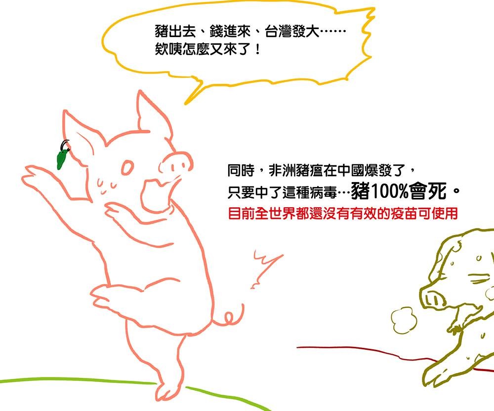 ▲▼台灣豬vs.非洲豬瘟。（圖／蠢羊與奇怪生物提供，請勿隨意翻拍，以免侵權。）