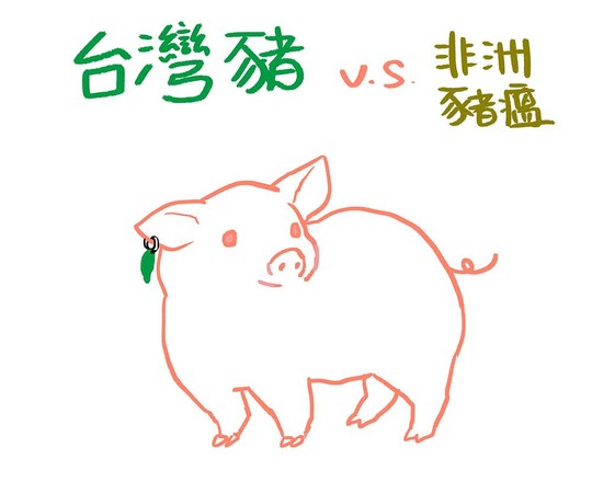 ▲▼台灣豬vs.非洲豬瘟。（圖／蠢羊與奇怪生物提供，請勿隨意翻拍，以免侵權。）