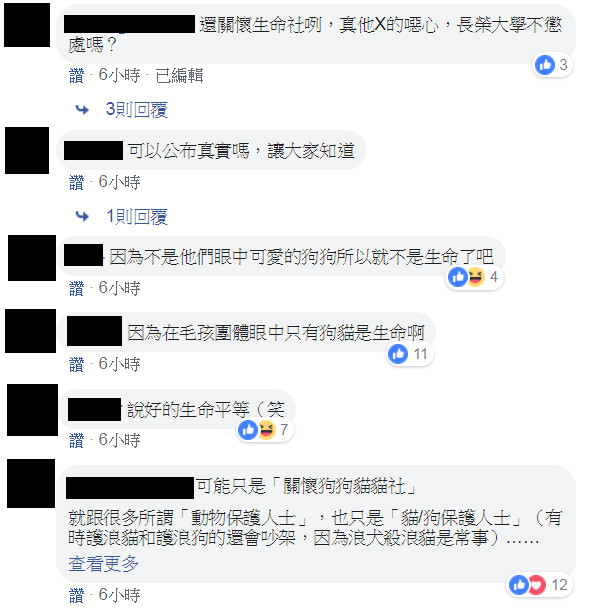 ▲▼             。（圖／翻攝自TPC台灣鸚鵡聯盟）