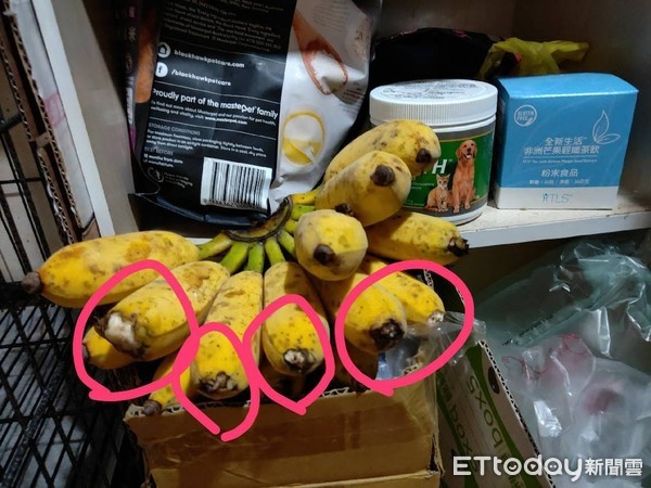 ▲法鬥偷吃香蕉被抓包還裝沒事。（圖／網友林欣怡授權提供）