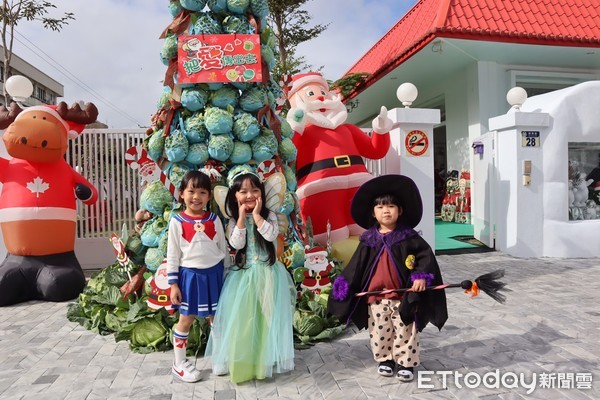 ▲幼兒園以300顆高麗菜布置成高約4公尺聖誕樹，成了另類「高麗菜聖誕樹」相當吸睛。（圖／記者王兆麟攝，下同）