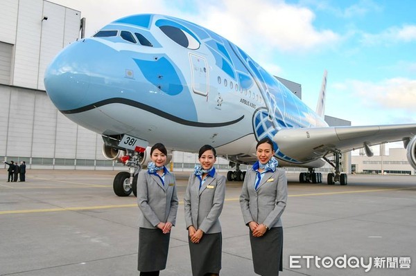 ▲ANA全日空海龜彩繪機。（圖／翻攝自Facebook／ANA.Japan）